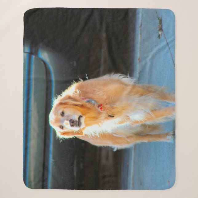 Golden Sherpa Blanket (Front)