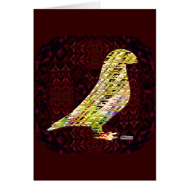 Golden Show Racer Pigeon (Front)