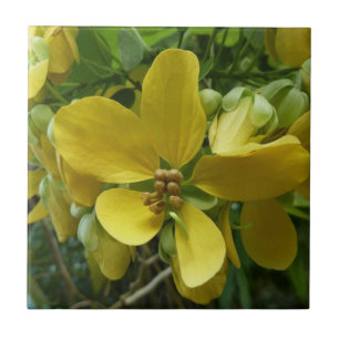 Golden Shower Tree Tropical Yellow Floral Ceramic Tile