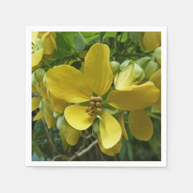 Golden Shower Tree Tropical Yellow Floral Napkin (Front)