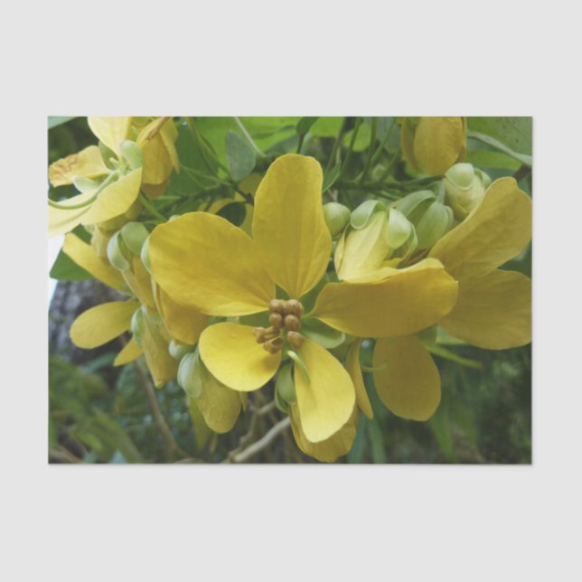 Golden Shower Tree Tropical Yellow Floral Tissue Paper (Front)