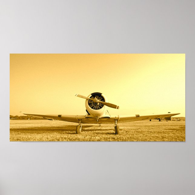 Golden Single Engine Airplane Vintage Aircraft Poster (Front)