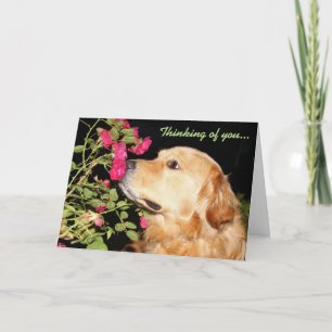 Golden Sniffing Flowers and Thinking of You Card