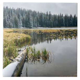 Golden Snow Ceramic Tile