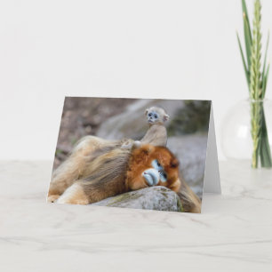 Golden Snub-nosed Monkey Dad with Baby Card