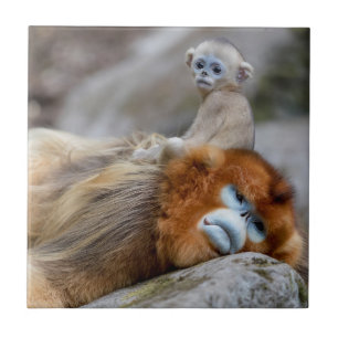 Golden Snub-nosed Monkey Dad with Baby Ceramic Tile