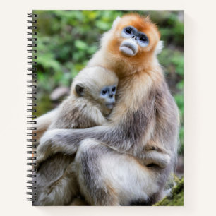 Golden Snub-Nosed Monkey with Baby Notebook