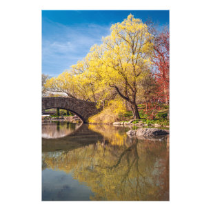 Golden Spring Photo Print
