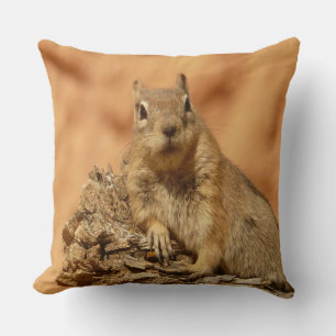 Golden Squirrel Cushion