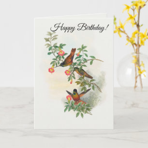 Golden Star-frontlet  Card