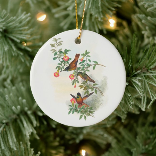 Golden Star-frontlet , tree Ceramic Ornament (Tree)