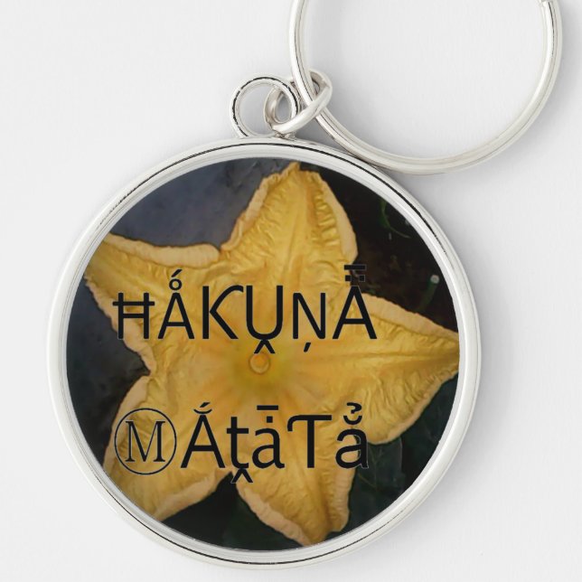 Golden Star Hakuna Matata Art Print Key Ring (Front)