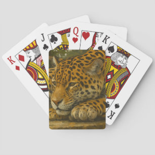 Golden Stillness – Resting Leopard in Foliage Playing Cards