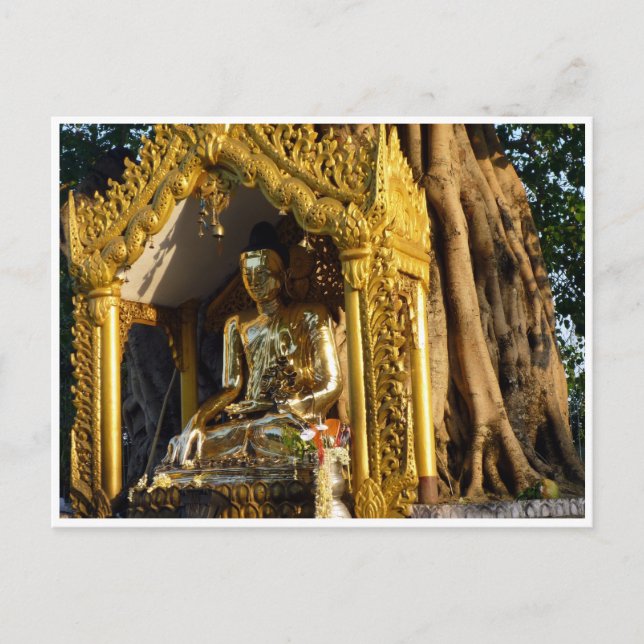 golden stupa buddha postcard (Front)