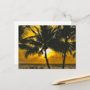 Golden Summer Sunrise Horizon Scenic Postcard