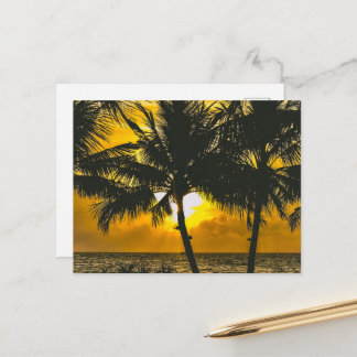 Golden Summer Sunrise Horizon Scenic Postcard