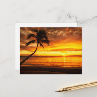 Golden Summer Sunrise Horizon Scenic Postcard