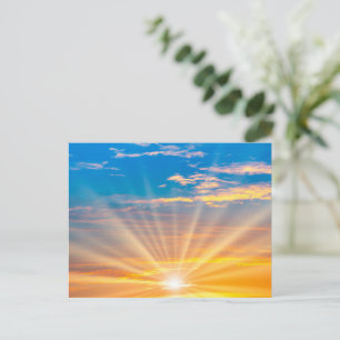 Golden Summer Sunrise Horizon Scenic Postcard