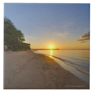 Golden Sun Ball Setting Over Tropical Island Tile