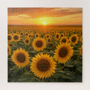 Golden Sunflower Field at Sunset Jigsaw Puzzle