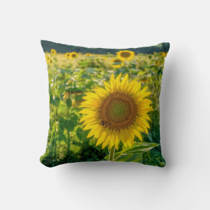 Golden Sunflower Field Cushion