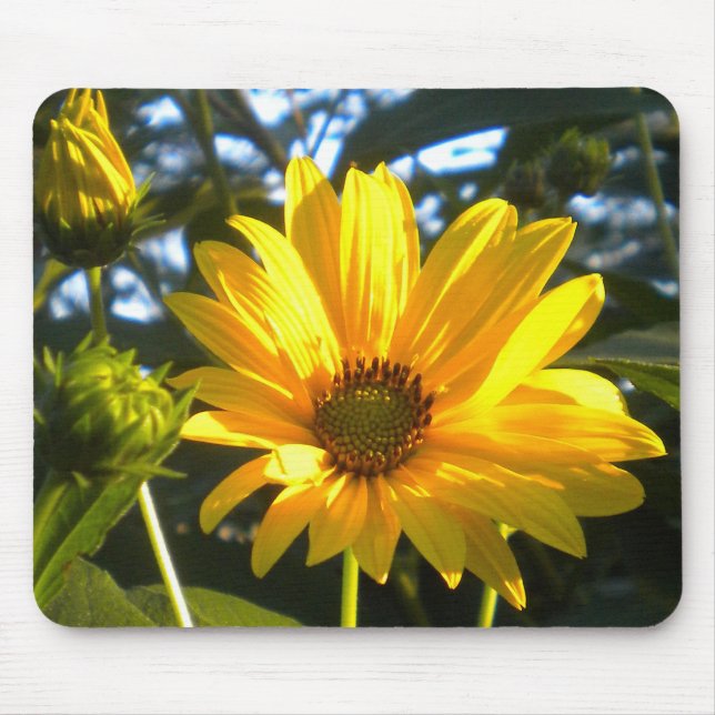 Golden Sunflower Mousepad (Front)