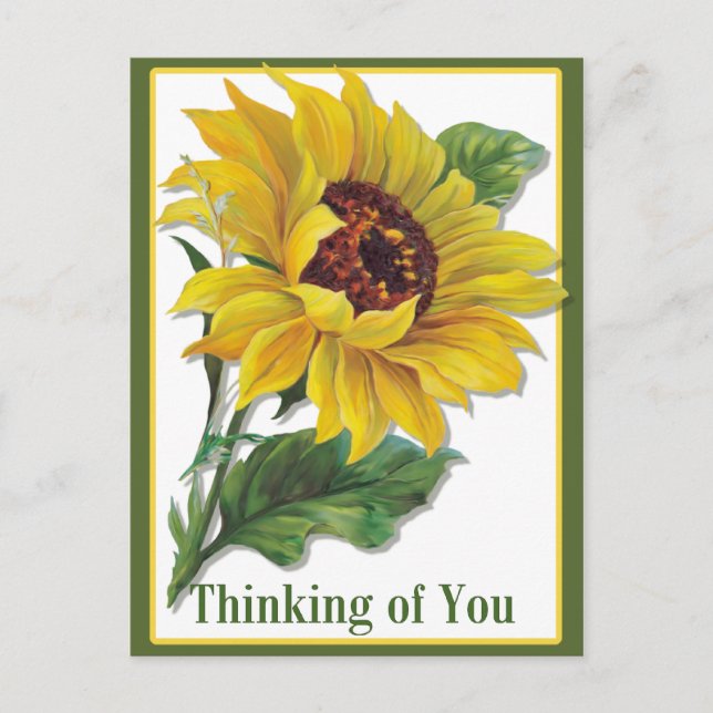 Golden Sunflower Postcard (Front)