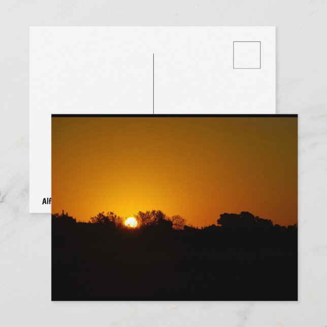 Golden Sunrise Postcard (Front/Back)