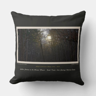 Golden Sunrise Winter Forest Centennial Ed Cushion