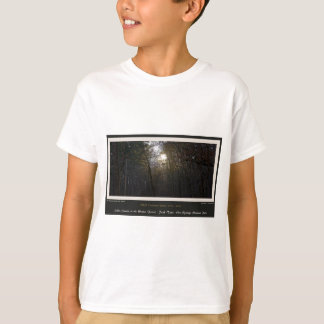 Golden Sunrise Winter Forest Centennial Ed T-Shirt