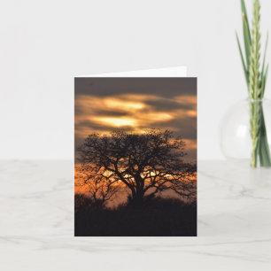 Golden sunset note card
