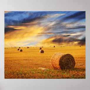 Golden Sunset Over Farm Field Poster
