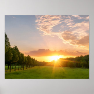 Golden Sunset Over Green Field With Tree Avenue -  Poster