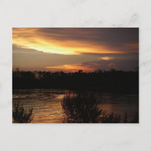 Golden Sunset Postcard