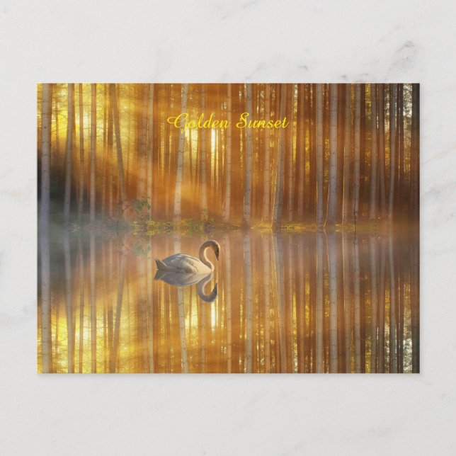 Golden Sunset Postcard (Front)