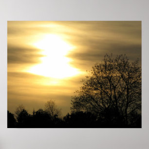 Golden Sunset with Silhouetted Trees Poster