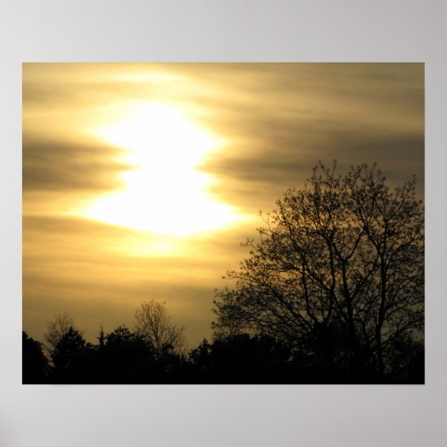 Golden Sunset with Silhouetted Trees Poster (Front)