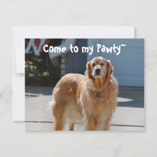 Golden Sunshine Invitation
