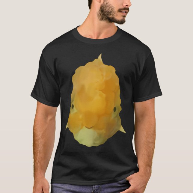 Golden T-Shirt (Front)