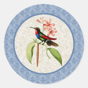 Golden Tailed Sapphire Hummingbird Stickers