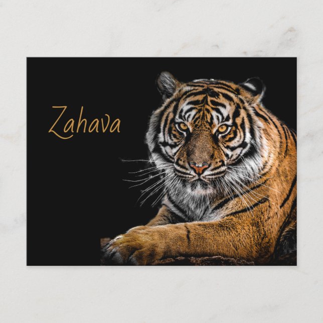 Golden Tiger Enclosure Card (Front)