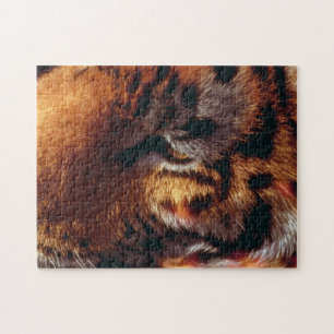 Golden Tiger Eye Close-Up Wildlife Jigsaw Puzzle