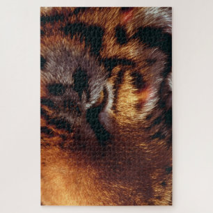 Golden Tiger Eye Close-Up Wildlife Jigsaw Puzzle