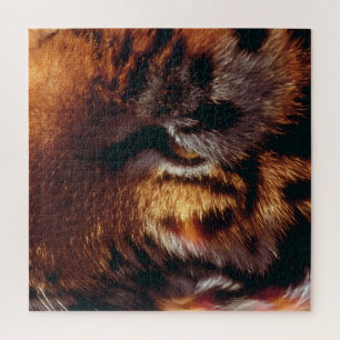 Golden Tiger Eye Close-Up Wildlife Jigsaw Puzzle