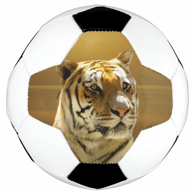 Golden Tiger Soccer Ball (Front)