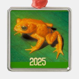 Golden Toad Ornament