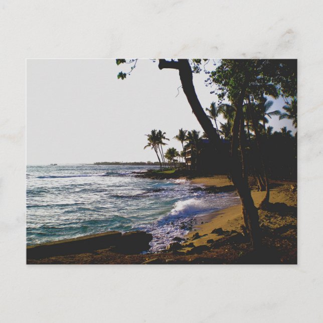 Golden Tropical Sand Postcard (Front)