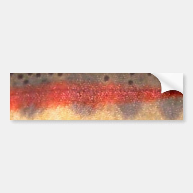 Golden Trout by PatternWear© Bumper Sticker (Front)
