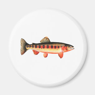 Golden Trout Magnet