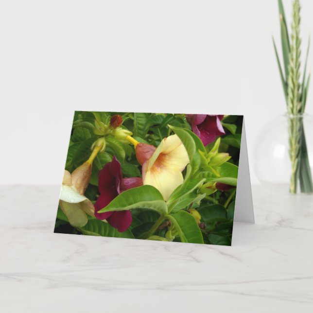 Golden Trumpet Card (Front)